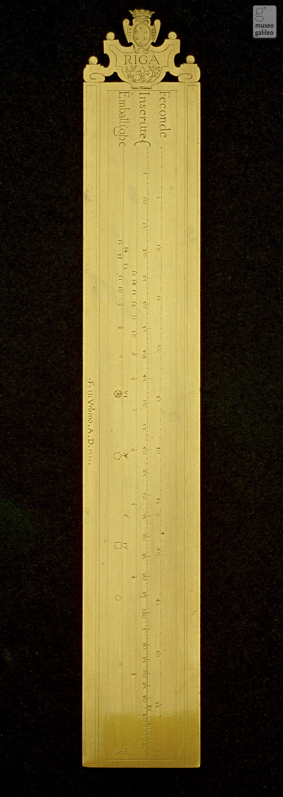 Graduated ruler (Inv. 638, 3703)