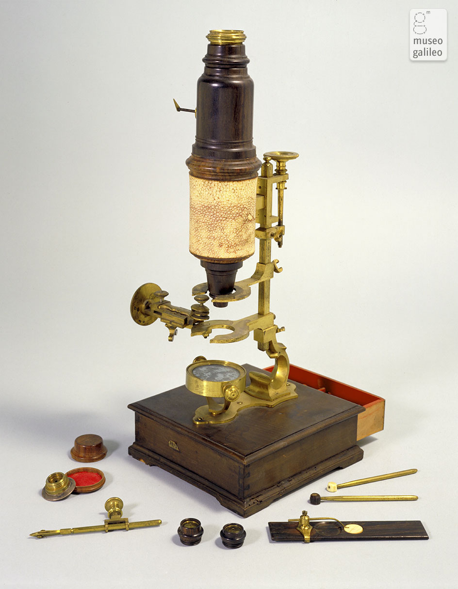 Compound microscope (Inv. 3205)