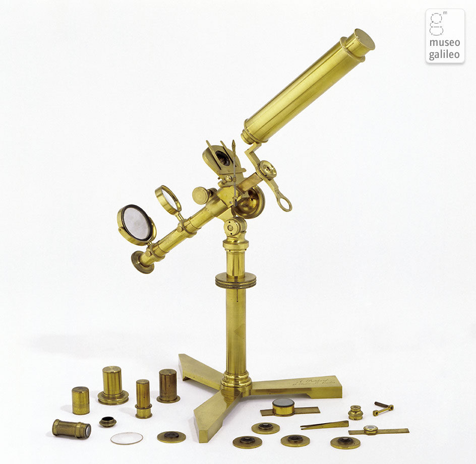 Compound and simple microscope (Inv. 2664, 3217)