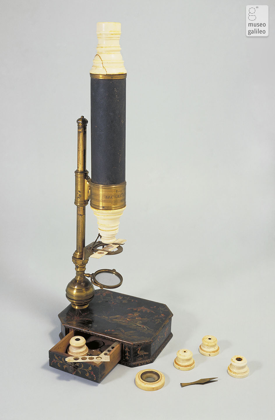Compound microscope (Inv. 3206)