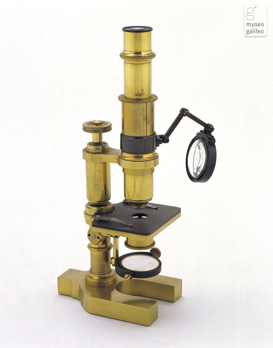 Compound microscope (Inv. 3268)